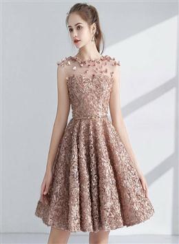 Picture of Champagne Round Neckline Lace Short Party Dress, Lace Homecoming Dress